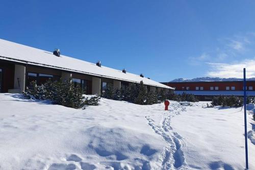 Stor barnevennlig leilighet