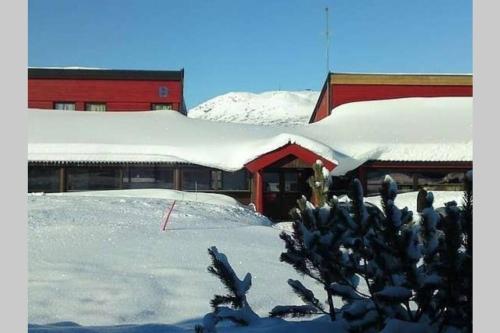 Stor barnevennlig leilighet