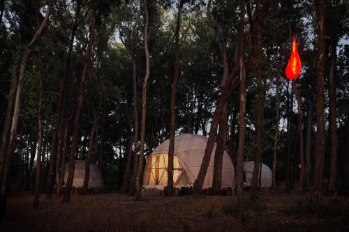 Big Bang Nature Stays in Sauce de Portezuelo