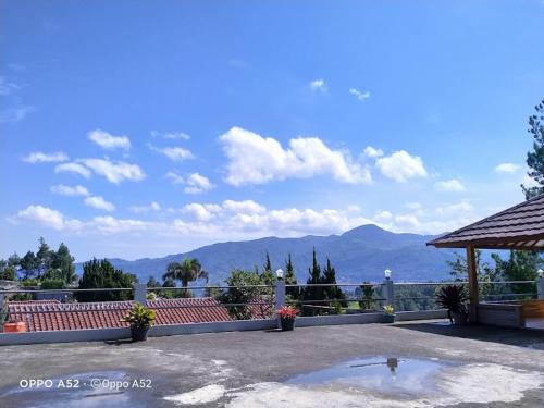 Villa New Massa 1