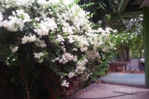Lakshmi Holiday Home Girivan Villa Valley view in Girivan near Pune