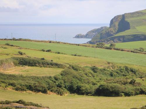 Dooneen - image 12