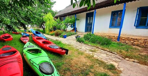 Traditional House in Danube Delta in Jurilovca