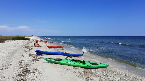 Traditional House in Danube Delta in Jurilovca