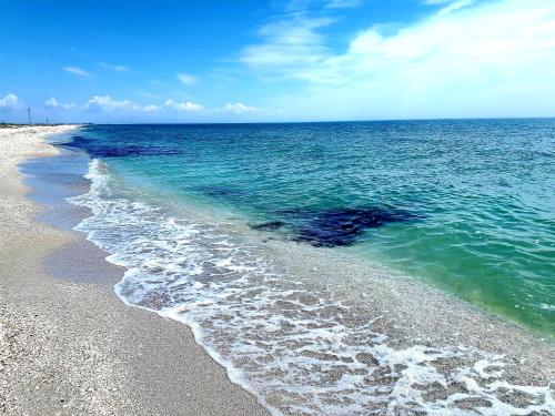 Traditional House in Danube Delta in Jurilovca