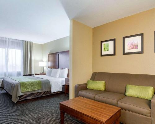 Comfort Inn Garden City - image 7