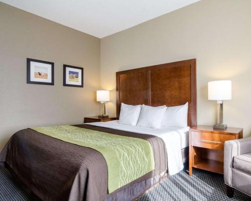 Comfort Inn Garden City - main image