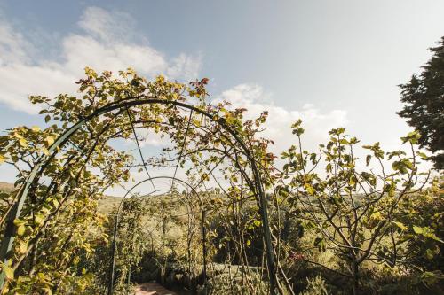 La Veronica Exclusive Chianti Resort