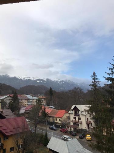 Mephisto Apartment Sinaia