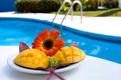 Attractions, Coral Clubes Acapulco in Balcones al Mar