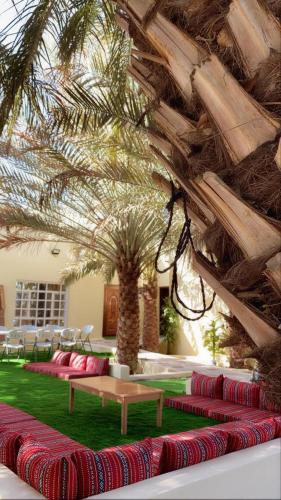 Bidiya oasis in A'Sharqiyah Sands (Wahiba)