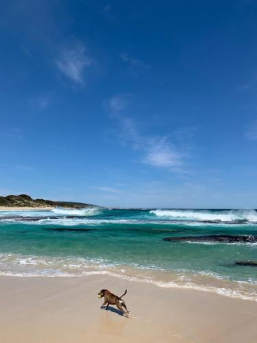 160 Steps... from Yallingup Beach