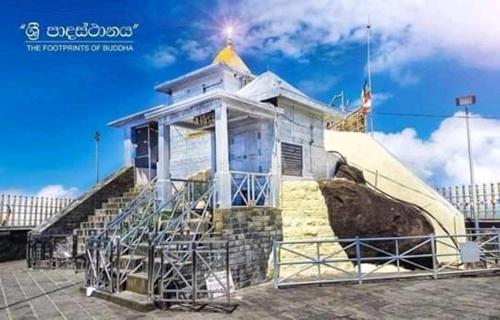 Lily adam's peak