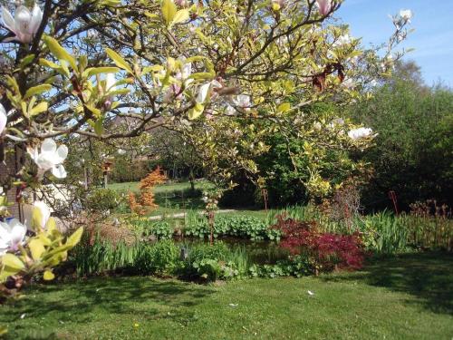 Luetjens-Bienenhaus - image 7
