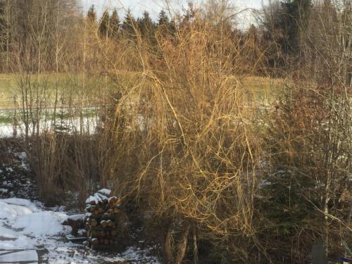 Privatzimmer Vermietung Helmut Bürgmann (Privatzimmer Vermietung Helmut Burgmann) in Kirchberg bei Mattighofen