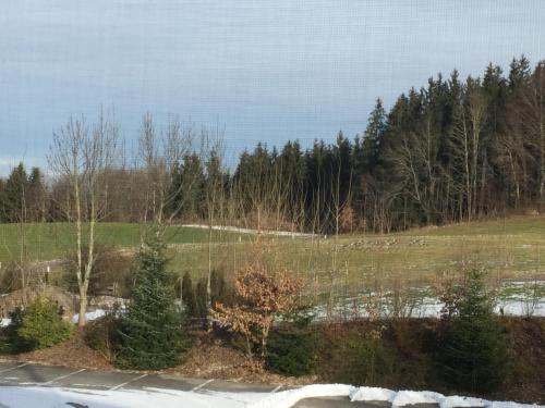 Privatzimmer Vermietung Helmut Bürgmann (Privatzimmer Vermietung Helmut Burgmann) in Kirchberg bei Mattighofen