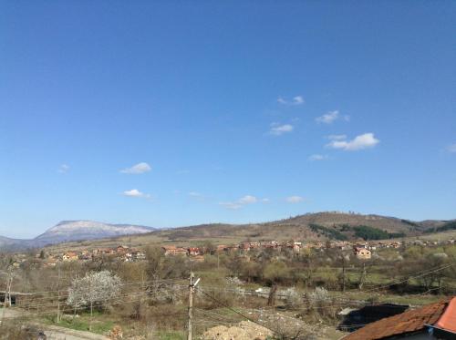 Guest House Luchi - image 12