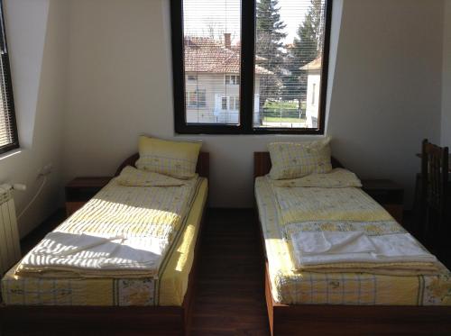 Guest House Luchi - image 4