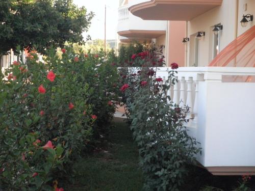 Golden Rose Suites - image 6