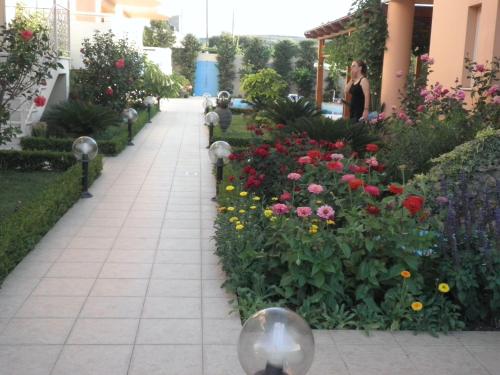 Golden Rose Suites - image 12