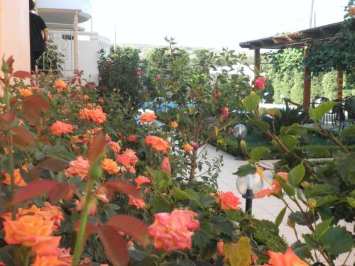Golden Rose Suites - main image