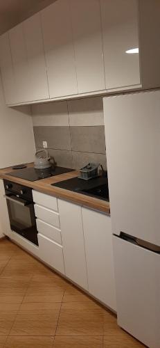 Apartament OLIVER in การ์ซิบูร์