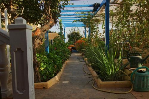  Finca Cortez in San Bartolomé de Tirajana