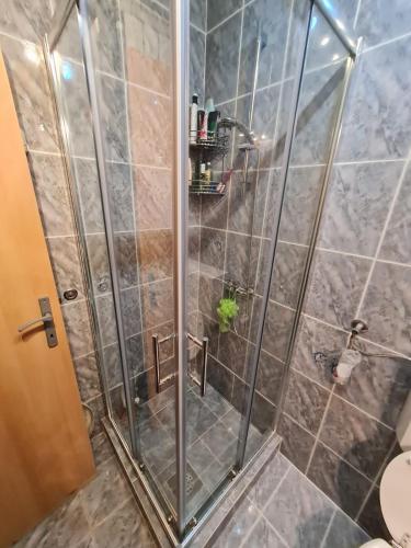Apartment Stipe - image 5
