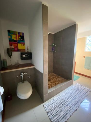 Deluxe Double Room with Shower room in Studio Pilon De Pavones