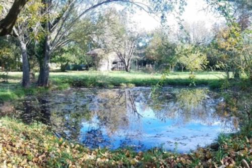 Gites de la Lurette - agréable T2 indépendant dans cadre calme et verdoyant