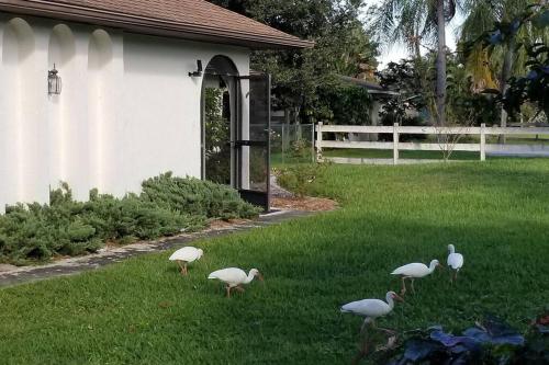 Bonita Oasis in Bonita Springs