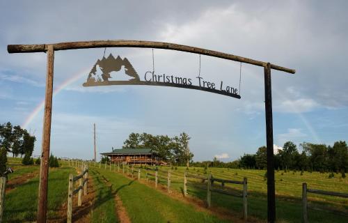 Rural life on a real Christmas tree farm! Hallmark experience!