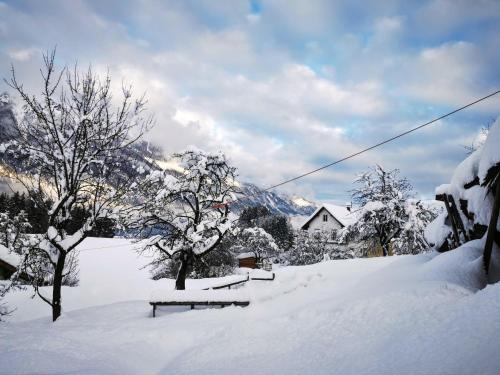 Haus Seewald in พาสเรียค