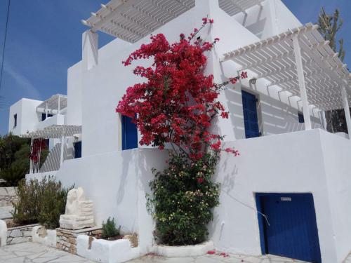 Nicos Studios & Apartments
