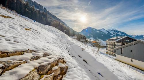 The View - Apt 09 - BO Immobilier- Châtel Multipass 2026 Activités en Été offert par votre hôte, Châtel (photo 6)