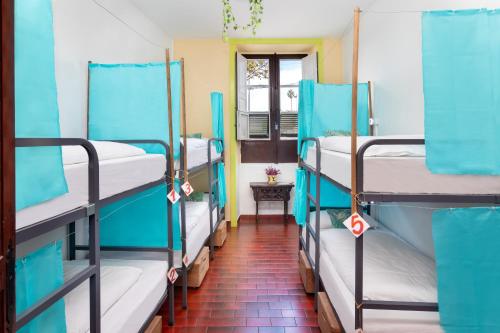 Patio Hostel in La Laguna