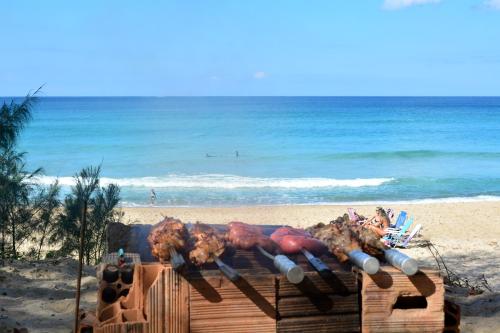 周邊環境, Florianópolis Pousada Moçambeach (Florianopolis Pousada Mocambeach) in 聖約翰多西奧維爾梅洛