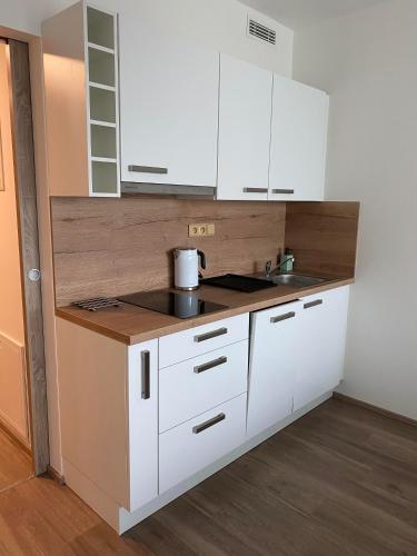 Apartment David O2 Arena Prague, Прага (фото 10)