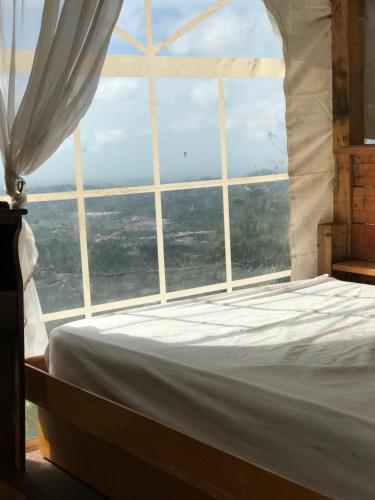 Camping para dos - a escoger segun disponibilidad de caseta o cabaña (Camping para dos - a escoger segun disponibilidad de caseta o cabana) in Caguas