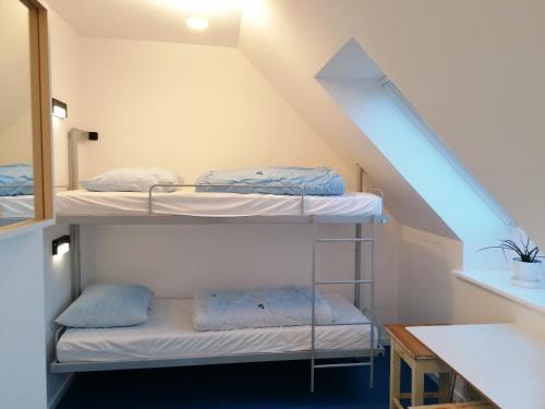 Femmasteren Hotel & Hostel Room Type - Family Room with Shared Bathroom