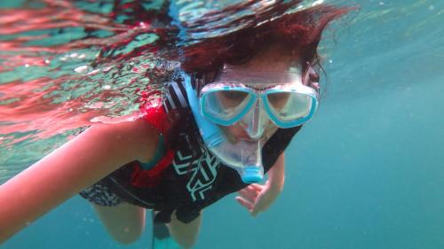 Palm Residence Palm Residence