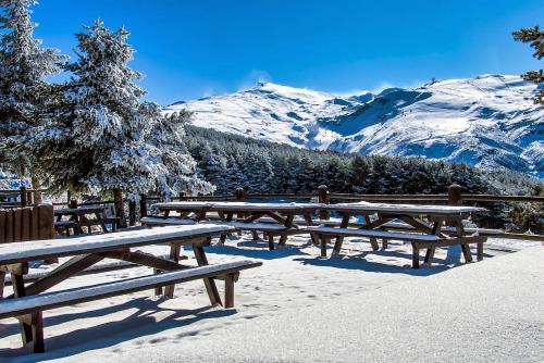 Todosierranevada Zona Baja Junto a los Telecabinas