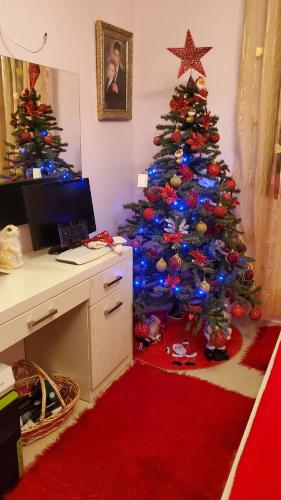 My home