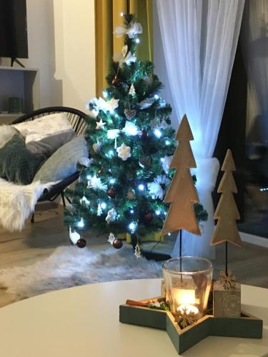 Apartmány Trio Horní Maršov - image 14