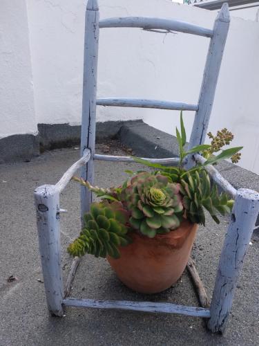 Bea's Bed & Breakfast – Tavira, NM