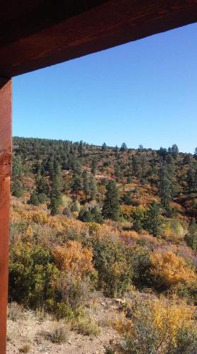Wolf Springs Cabin #5 - image 4
