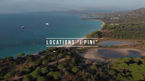 Camping - Porto-Vecchio - Corsica - Camping Palombaggia location i pini Porto Vecchio - Image #1