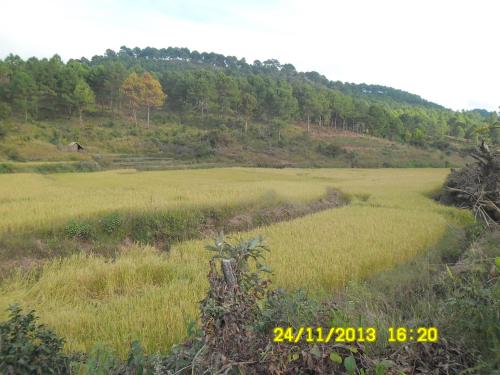 A Hotelcom Pine Breeze Hotel Hotel Kalaw Myanmar - 