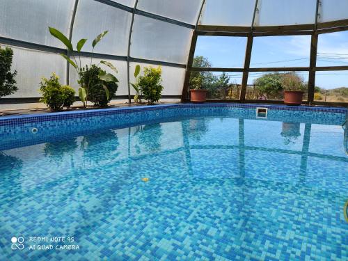 Serena del Lago in La Paloma