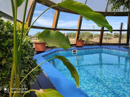 Serena del Lago in La Paloma